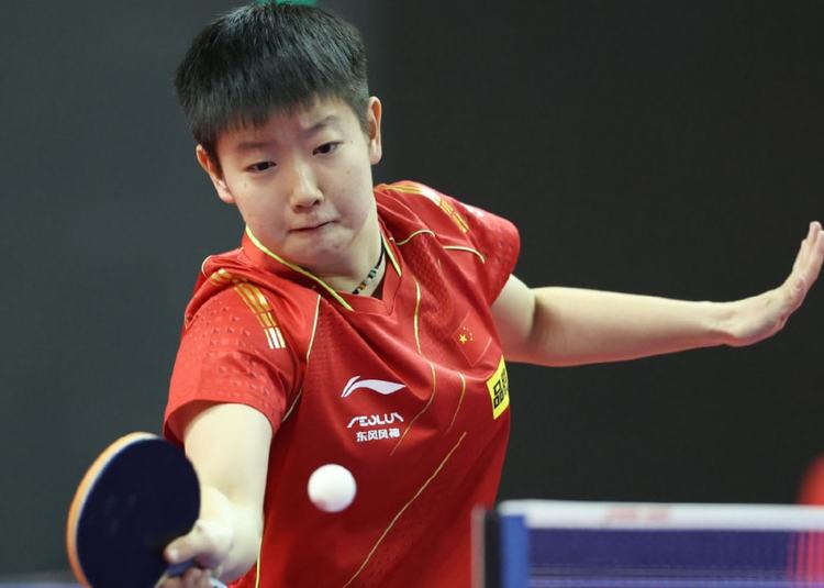 许多成功的 许多成功的