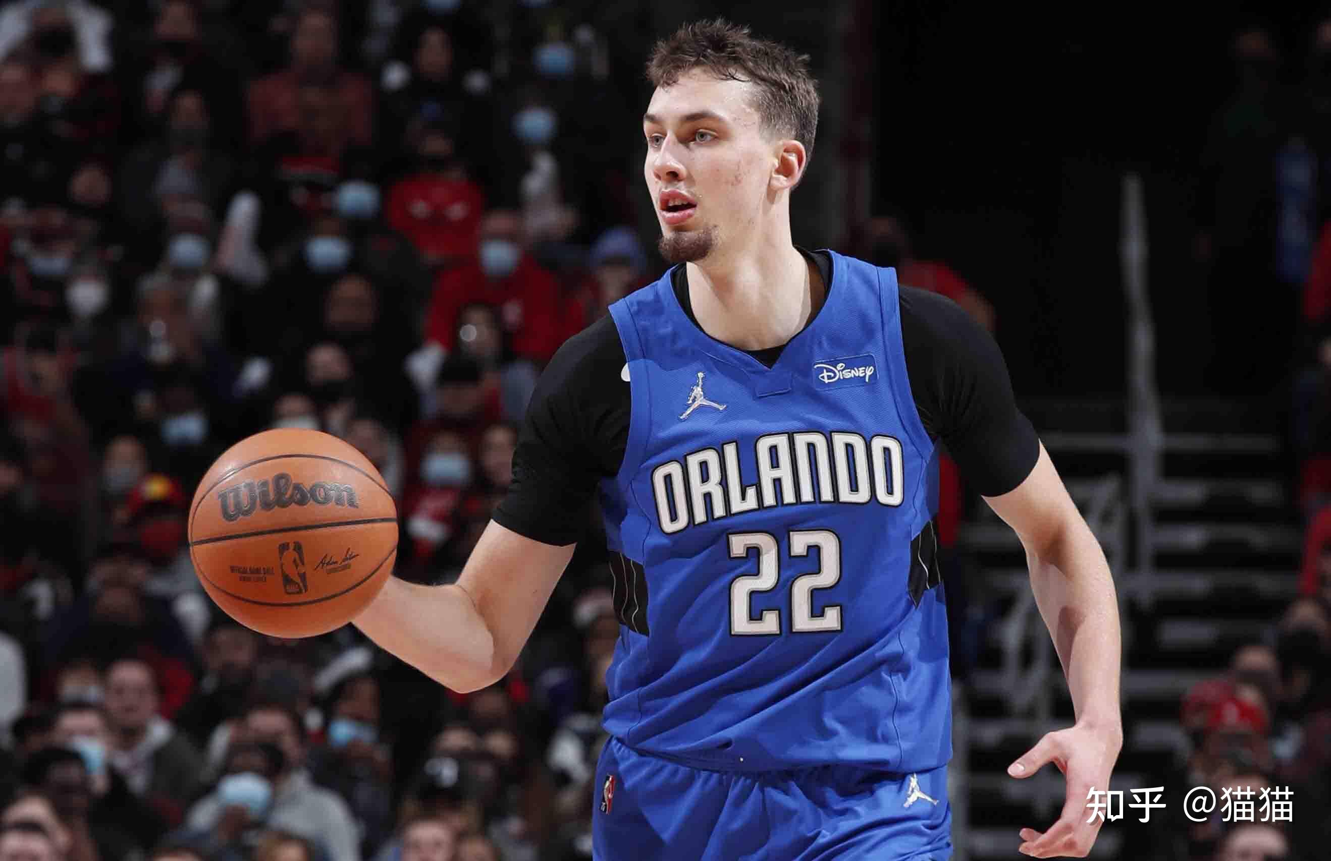 懈的努力 懈的努力