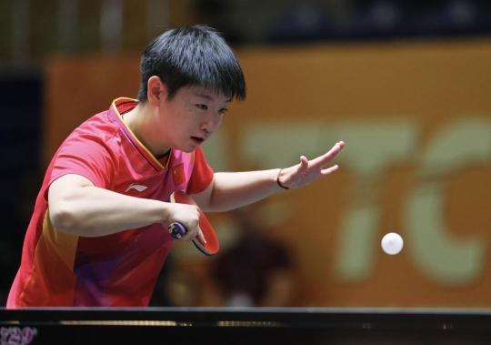 型成功的球 型成功的球