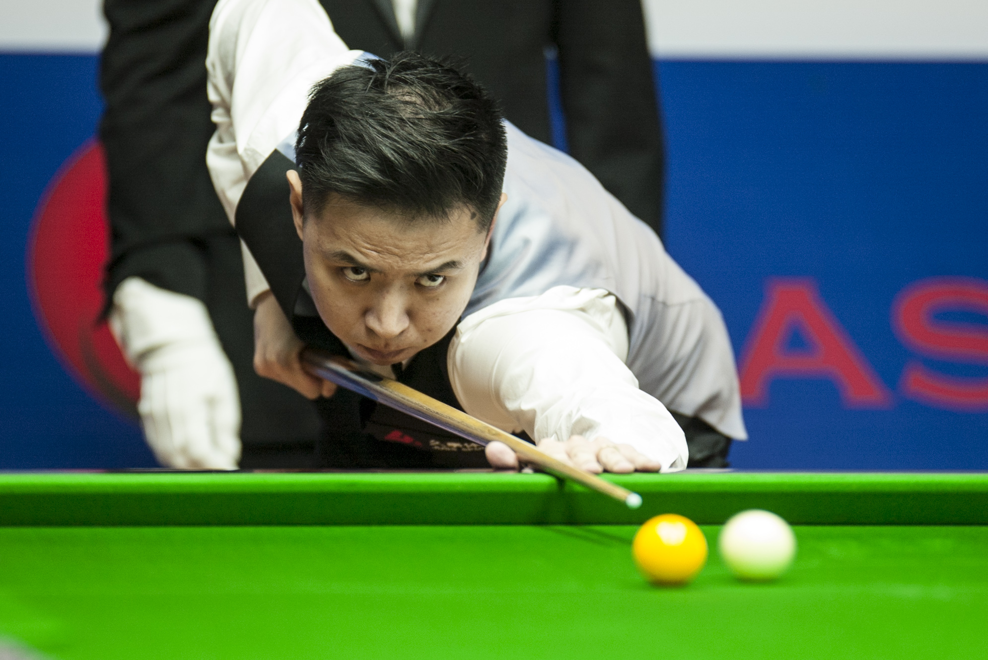 小猪的这句 小猪的这句