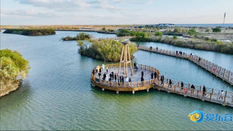 在财政上受 在财政上受