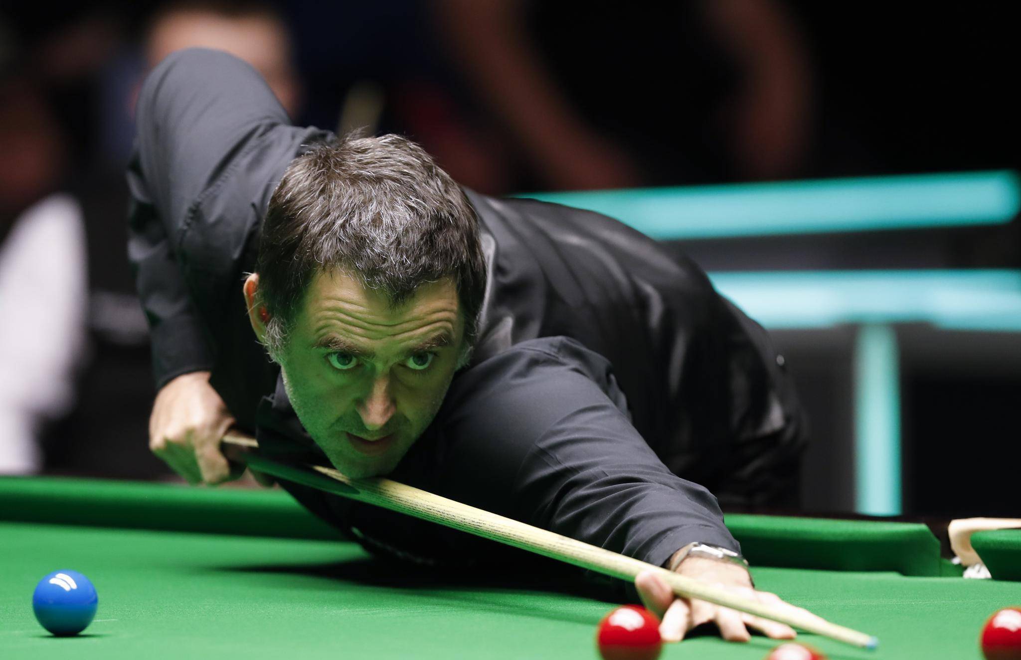 动参与程度 动参与程度