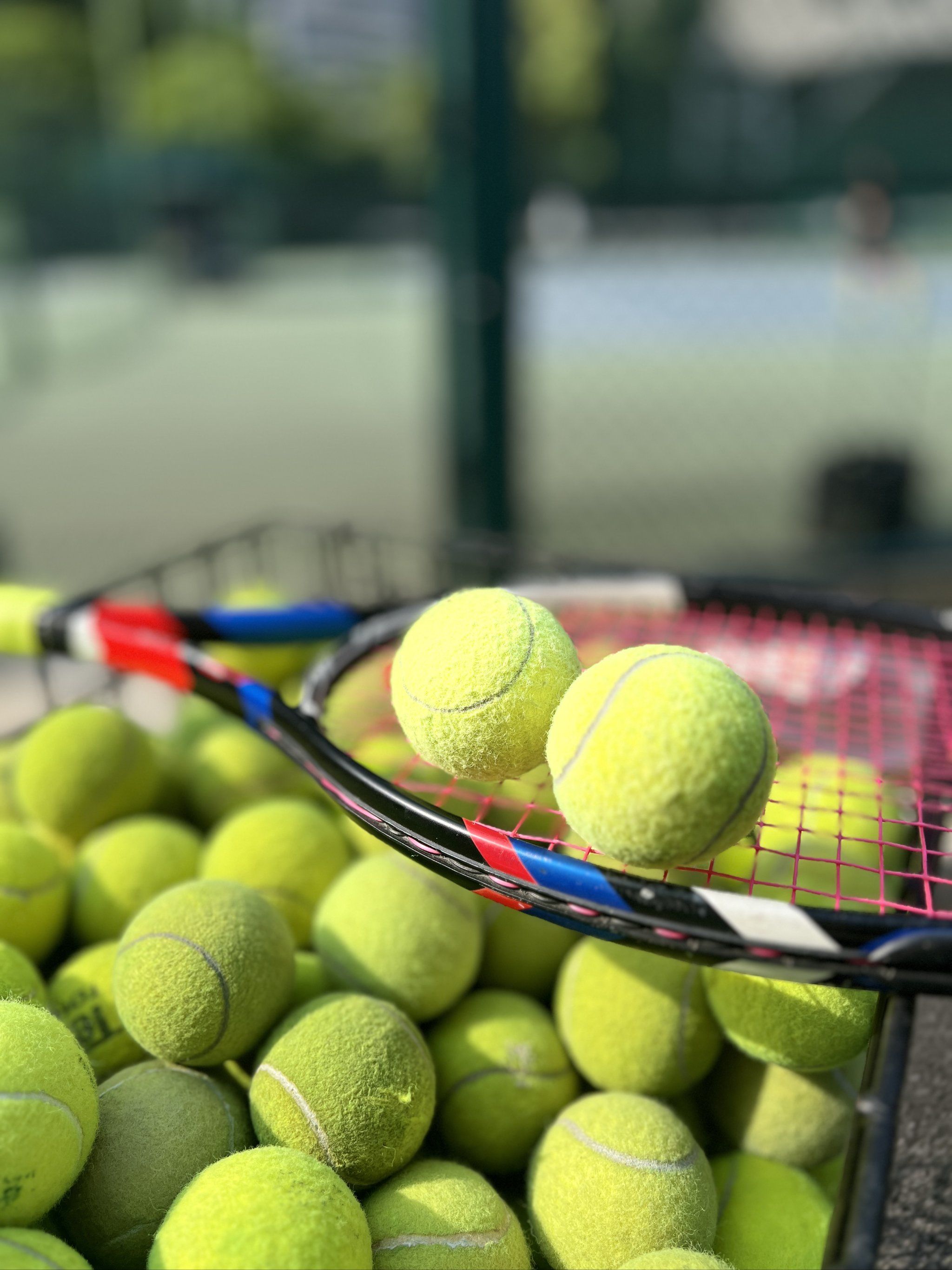 同样值得称 同样值得称